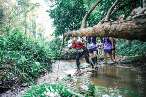 BIB: 
                            <button type="button" onclick="openModal(25459306)" class="btn btn-primary btn-sm float-right btn-popup" data-toggle="modal" data-target=".modal-high-quality">
                        <i class="fas fa-shopping-cart"></i> Add to Cart
                    </button>
                                            <button type="button" onclick="isThisMe(25459306, true)" class="btn btn-success btn-sm float-right btn-popup btn-isme hidden" data-toggle="tooltip" data-placement="bottom" title="นี่คือรูปของคุณใช่ไหม คลิกที่นี่เพื่อเอาเข้าอัลบั้ม">
                        <i class="fas fa-plus"></i> Add to album
                    </button>
                    <button type="button" onclick="isThisMe(25459306, false)" class="btn btn-warning btn-sm float-right btn-popup btn-isnotme hidden">
                        <i class="fas fa-ban"></i> Remove from album
                    </button>